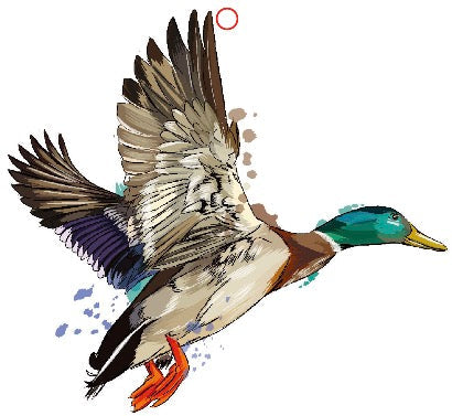Mallard Duck Air Freshener 4-Pack
